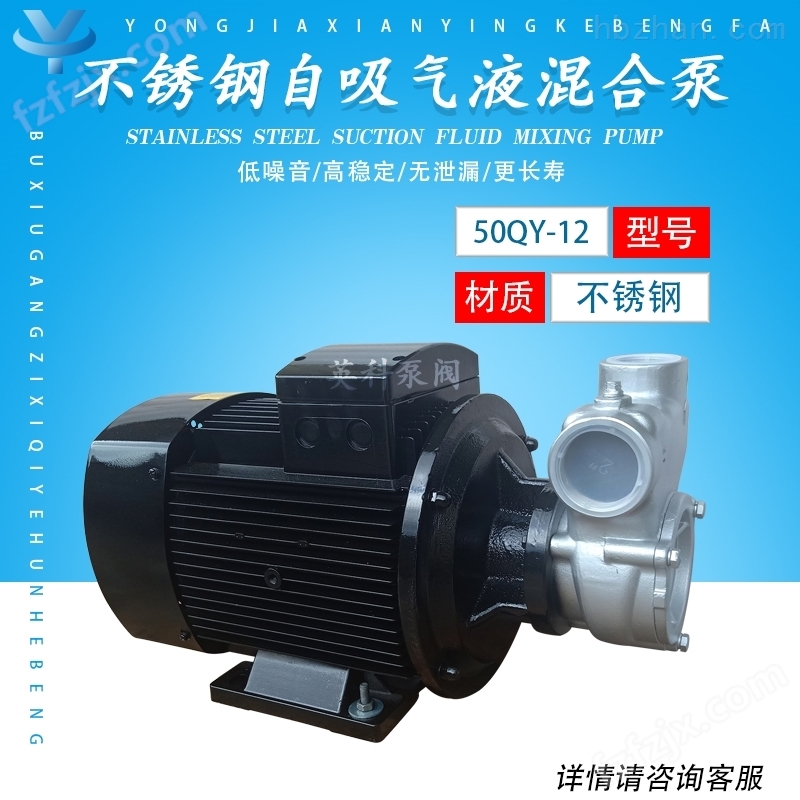 自吸式气液混合泵生产